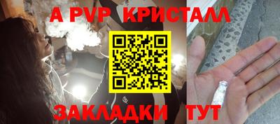 спиды Гагарин