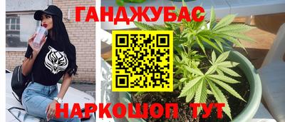 спиды Гагарин