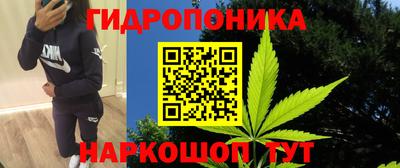 спиды Гагарин