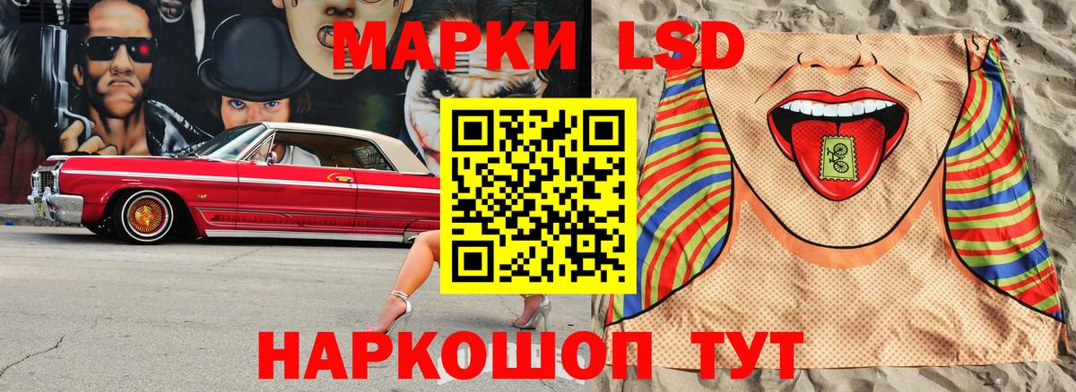 как найти закладки  Марки 25I-NBOMe 1500мкг  Шелехов  Вход с VPN  Марки 25I-NBOMe 1500мкг 
