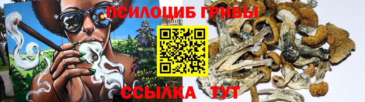 Галлюциногенные грибы GOLDEN TEACHER  Галлюциногенные грибы мицелий  Шелехов  Вход с VPN 